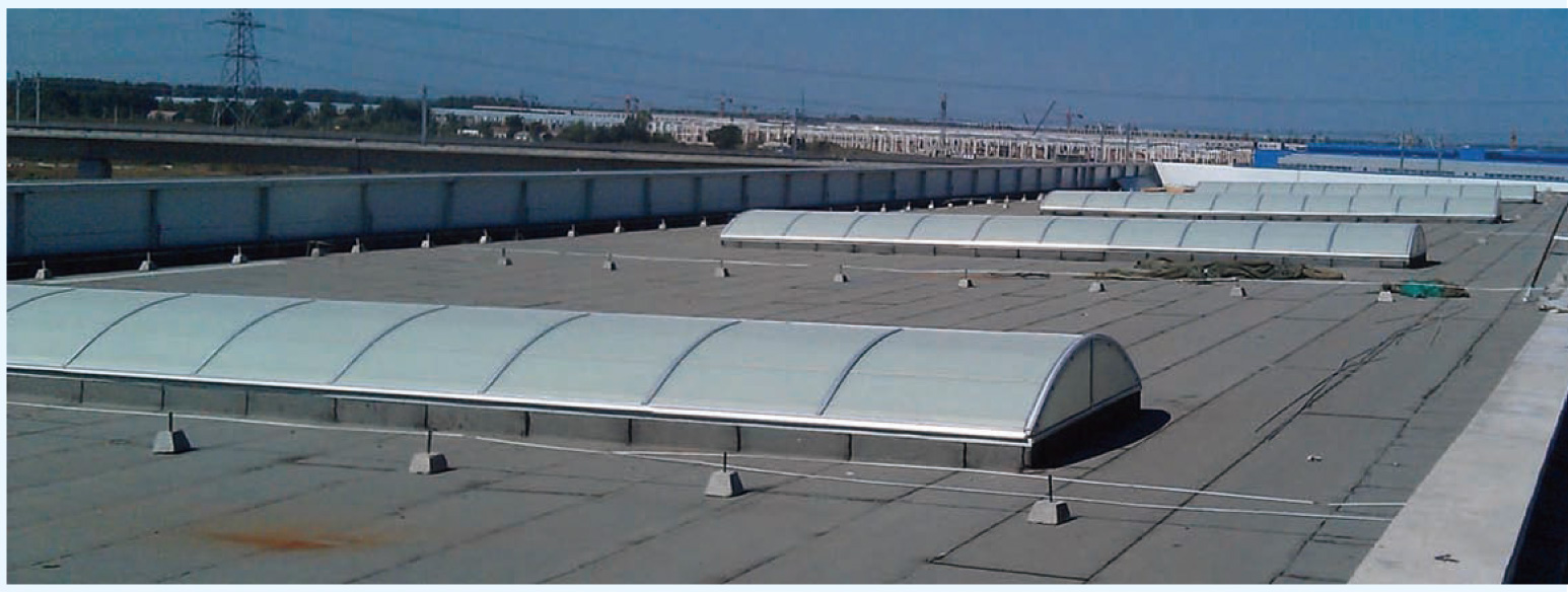 ���·�Ʈѩ�ɹ��(�ɹ���)